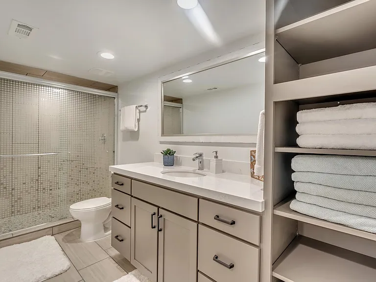 Lower Level Custom Bathroom