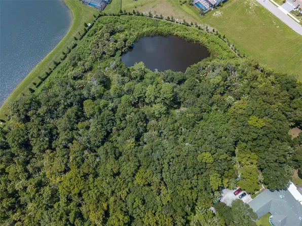 Quarter Horse Rd Lot 36, Sarasota, FL 34241