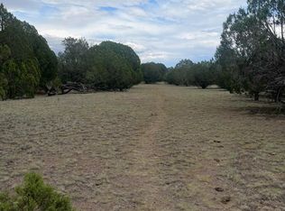 16306 S Ranch Rd #86, Seligman, AZ 86337