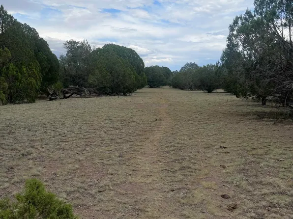 16306 RANCH Road #86, Seligman, AZ 86337