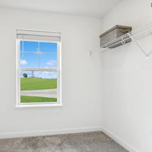 Walk in closet in Master bedroom