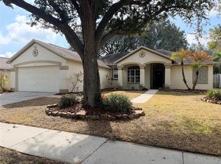 4111 Amber Ridge Ln, Valrico, FL 33594