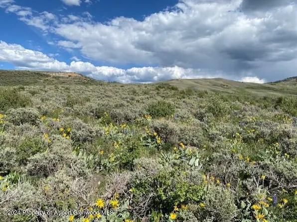 County Road 38, Craig, CO 81625