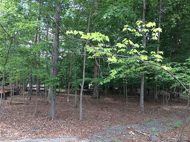 2nd image of 1019 Arborfield Dr