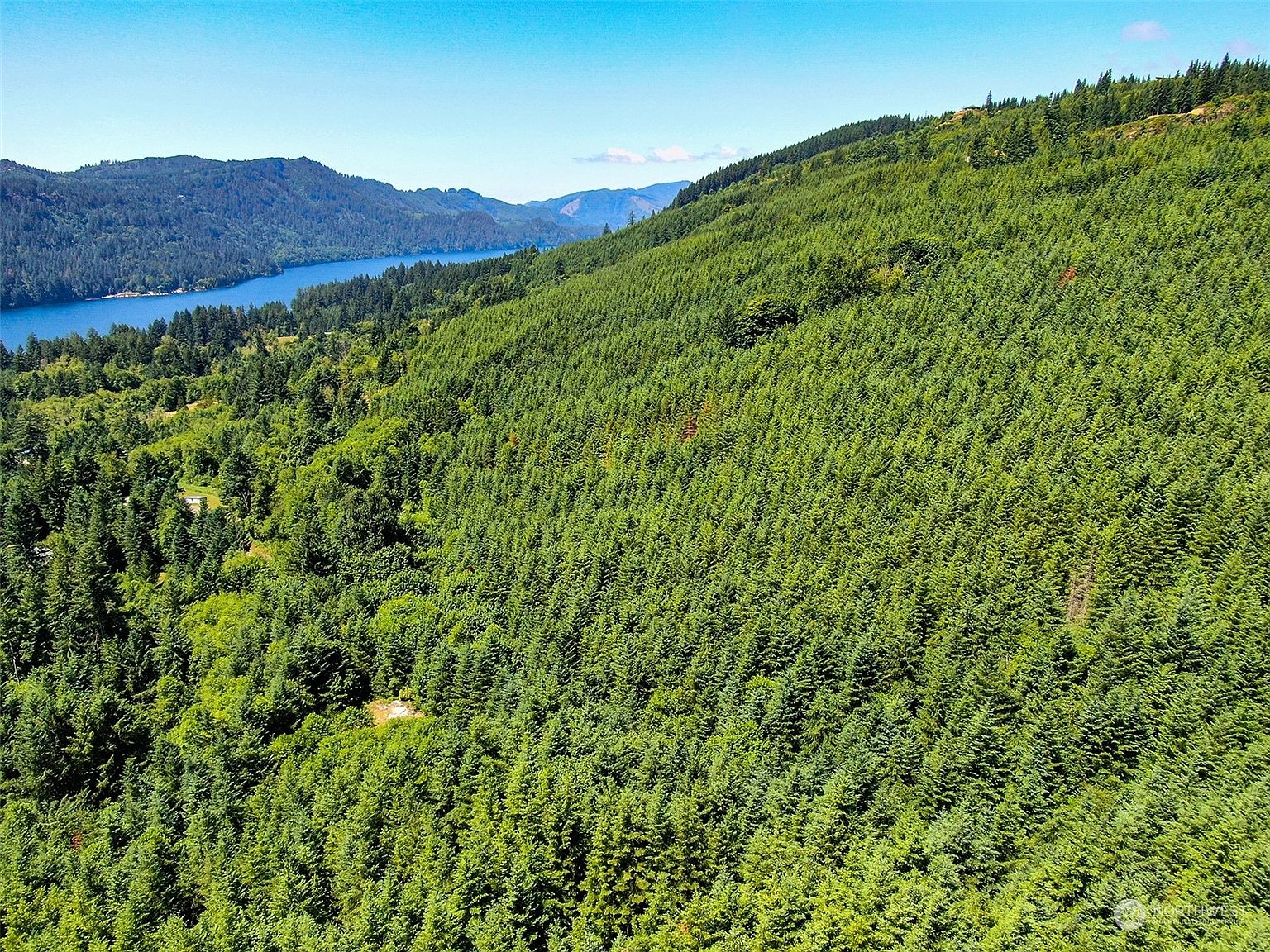 242 Ham Road, Ariel, WA 98603 MLS 2135137 Zillow