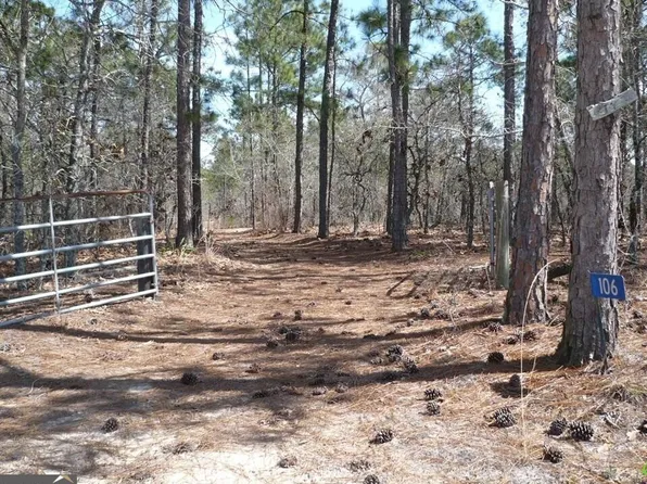 106 Sandy Trl, Mauk, GA 31058