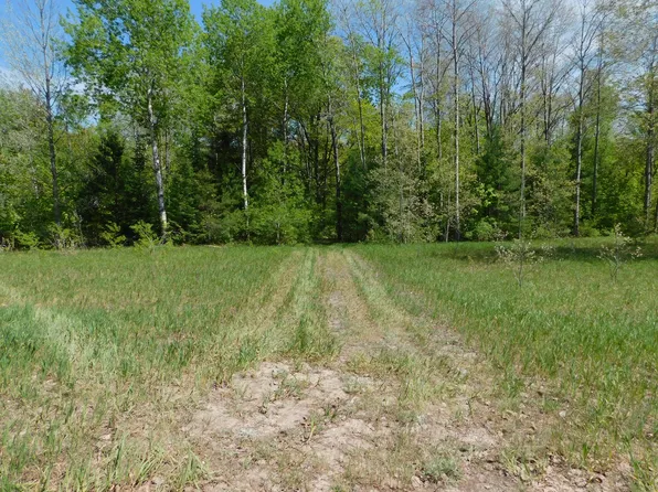 10877 Old 27 S, Frederic, MI 49733