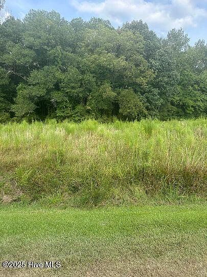 2nd image of 0 Chance Boulevard