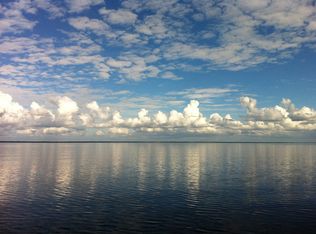 272 Drayton Island Rd, Georgetown, FL 32139