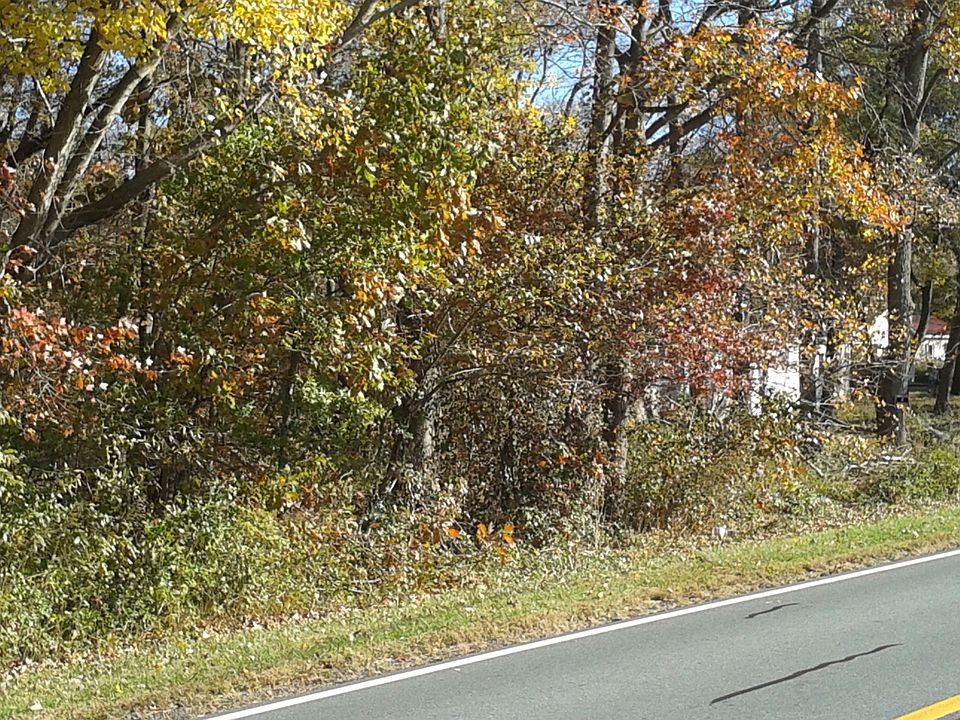 2nd image of 1743 Longridge Rd