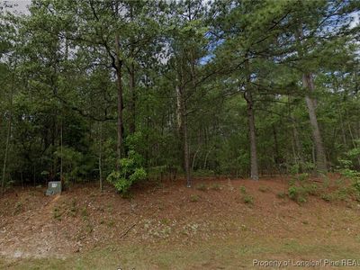 33 Peach Orchard Rd, Wagram, NC, 28396
