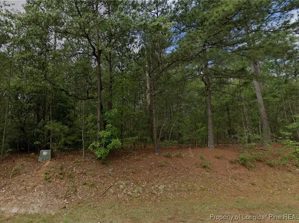 33 Peach Orchard Rd, Wagram, NC 28396