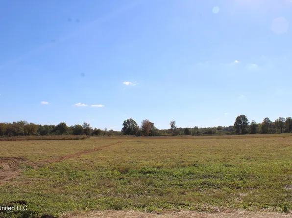 45 Pin Oak Rd, Michigan City, MS 38647