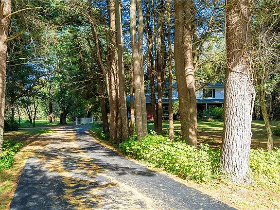 3rd image of 174 Wembley Dr