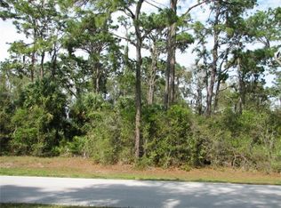 7007 Lithia Woods Ct, Lithia, FL 33547