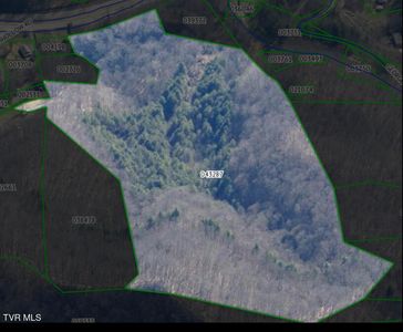 Tbd Orby Cantrell Hwy, Pound, VA, 24279