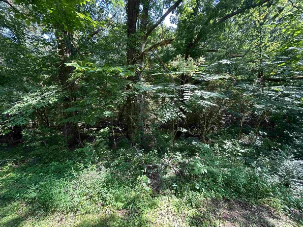 0 Cherry Oak Ln, Calvert City, KY 42029