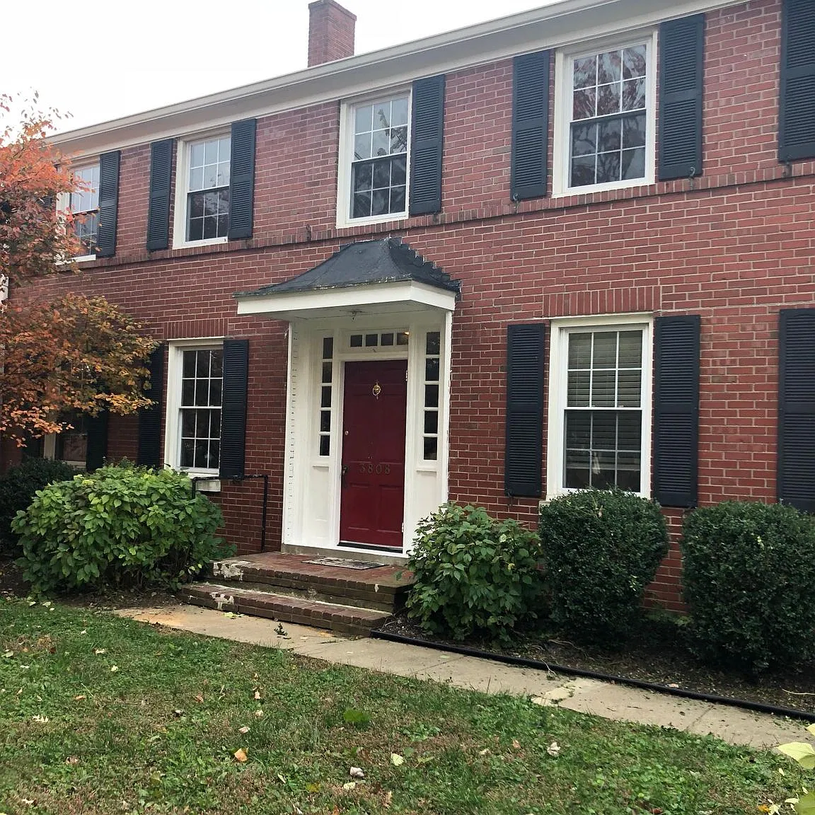 1 bed, 800 sqft, $1,125 — Photo 1