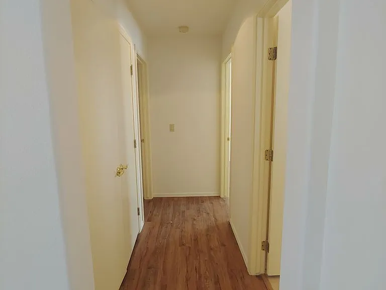 3117 Birch Grove Ct — Photo 14