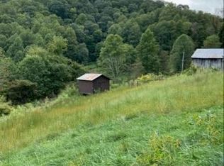 36 Sawyer Dr, Clyde, NC 28721