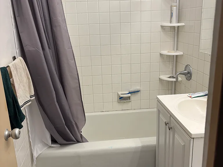 3950 N Lakeshore Dr #2124 — Photo 7