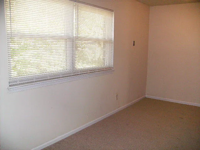 7920 Bi County Rd #12 — Photo 14