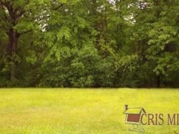1458 Birch Run Dr, Warren, OH 44483