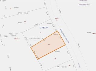 603 Waterfern Trail Dr, Auburndale, FL 33823
