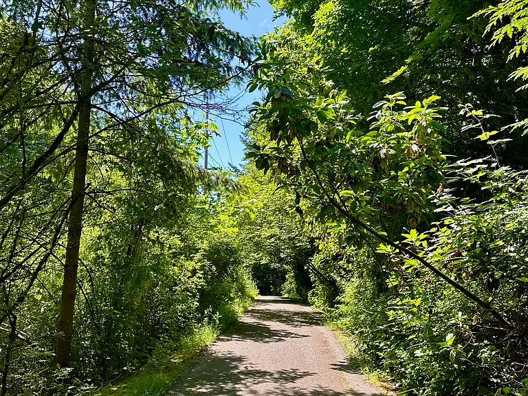 Paved trails across the street.