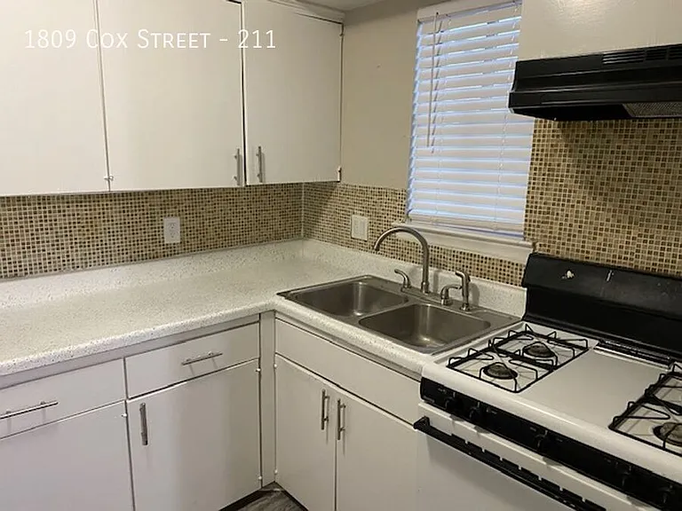 1729 Cox St — Photo 292
