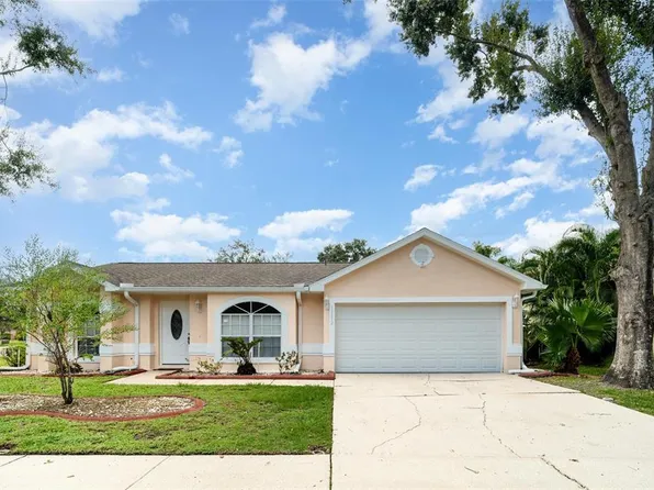 11512 Wellman Dr, Riverview, FL 33578