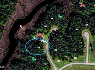 157 Golden Fern Ln, Minnesott Beach, NC 28510