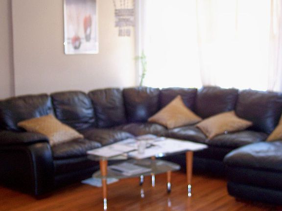 Large Living room with Hardwood floor