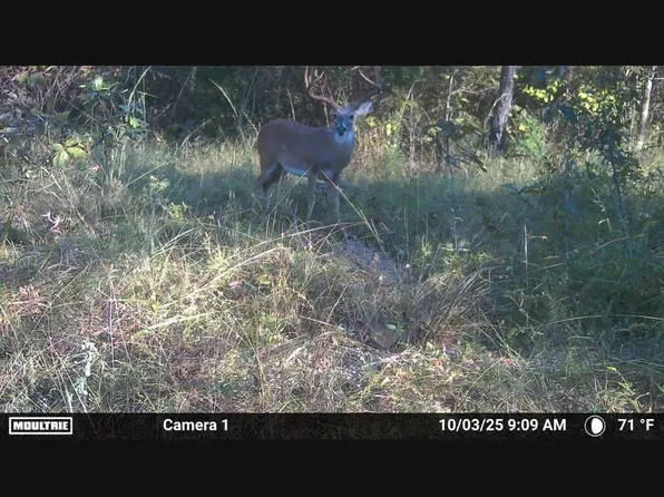 S80 Helt Rd, Antlers, OK 74523