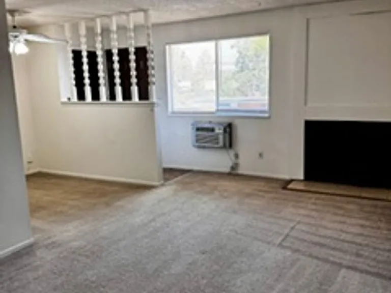 708 Delaware Ave #D — Photo 3