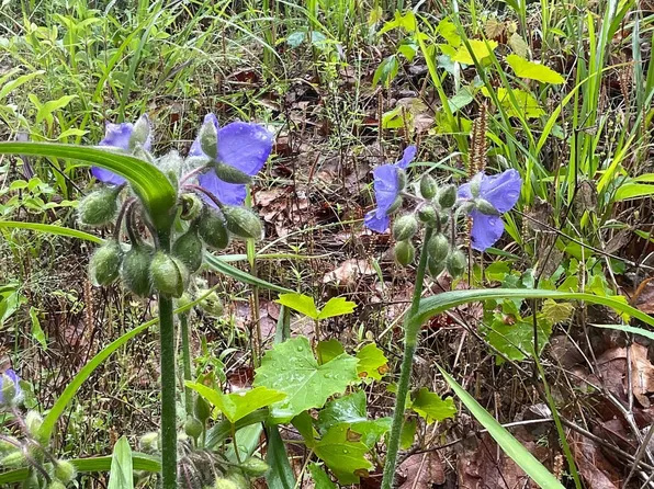 8023 State Highway 77 E, Atlanta, TX 75551