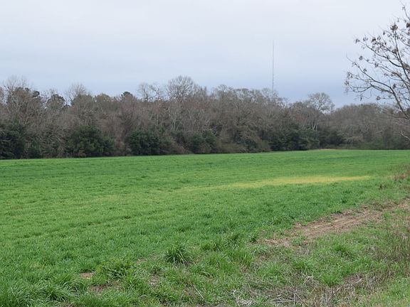 7 acre agriculture field or home site