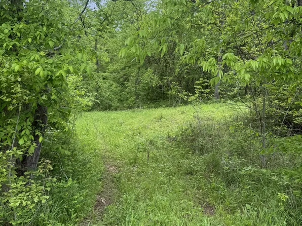 0 Panhandle Rd, Manchester, TN 37355