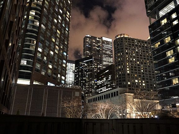 4th image of 440 N McClurg Ct APT 309-S