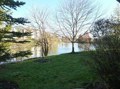 5th image of 6844 Wembley Cir