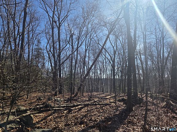 2nd image of 0 Green Hollow Road Road