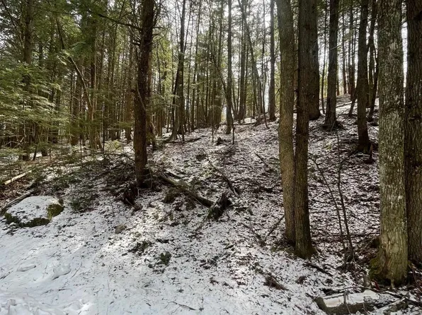 000 Hinkley Brook Road, Grafton, VT 05146
