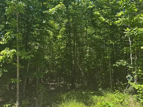 58 Ridge Rd Lot 58, Watson, OK 74963
