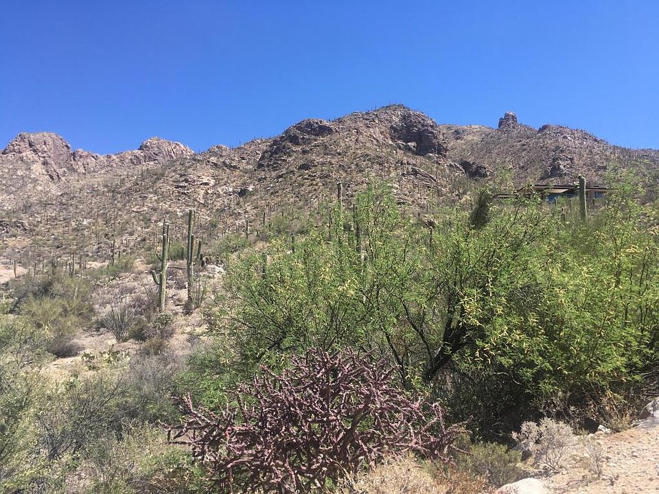 1st image of 1649 E Barrell Cactus Ct