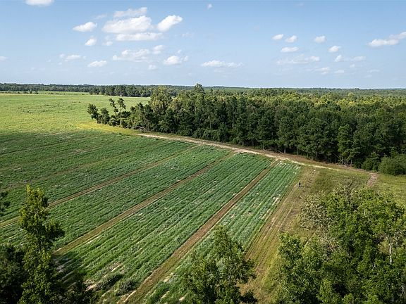 4th image of 0 County Road 2180