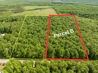 PARCEL Mancelona Rd #B, Mancelona, MI 49659