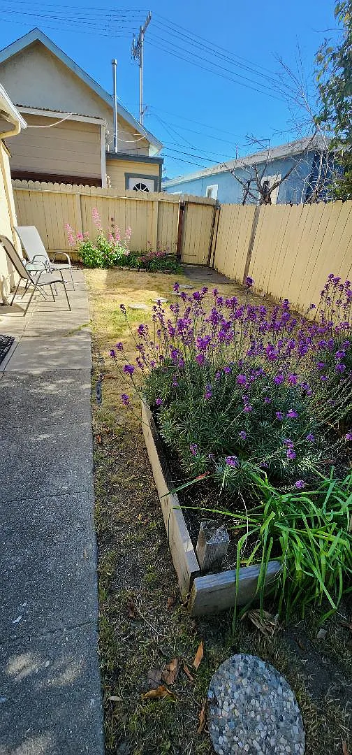 1 bed, 460 sqft, $1,790 — Photo 2
