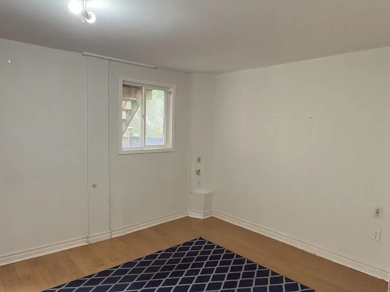 117 English Oak Dr #BASEMENT — Photo 6