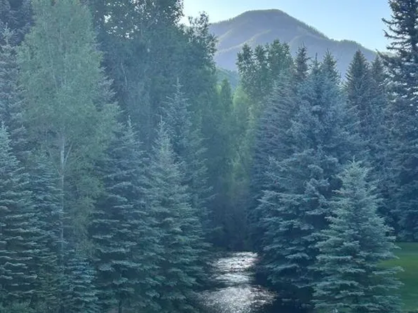 245 Mushroom Drive, Bayfield, CO 81122