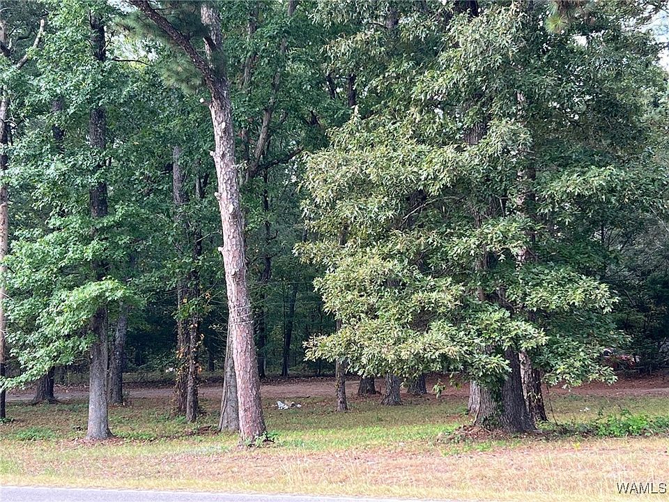 2nd image of 0 Half Circle Dr
